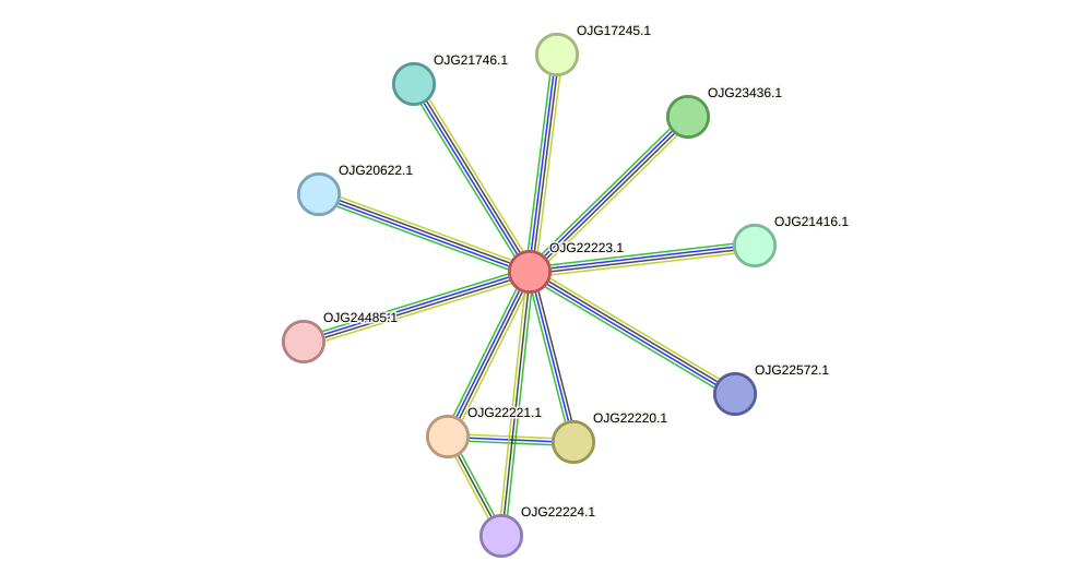 STRING protein interaction network