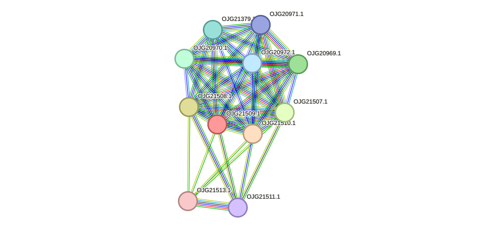 STRING protein interaction network