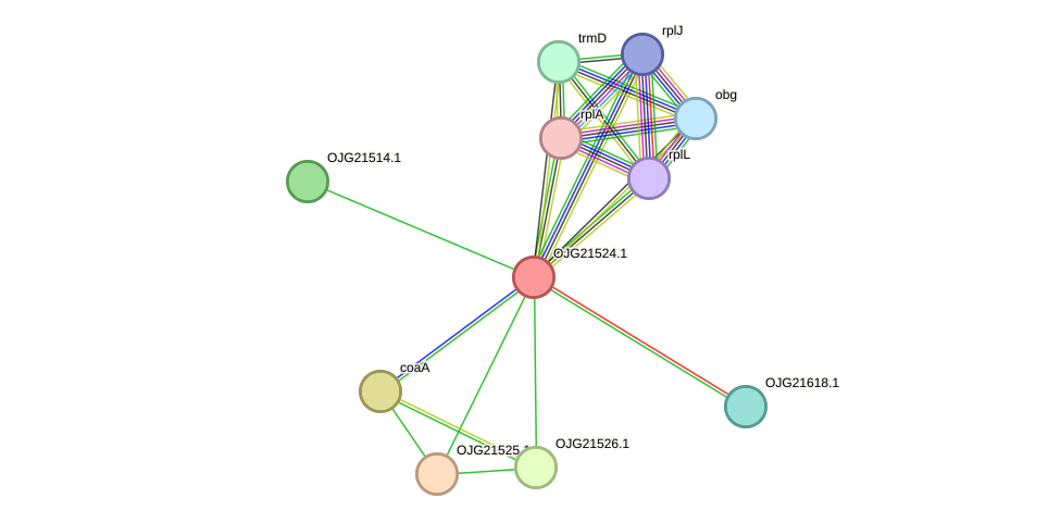 STRING protein interaction network