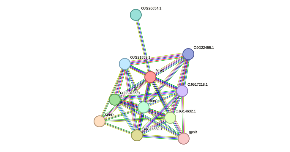 STRING protein interaction network