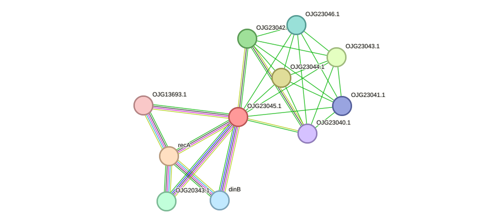 STRING protein interaction network