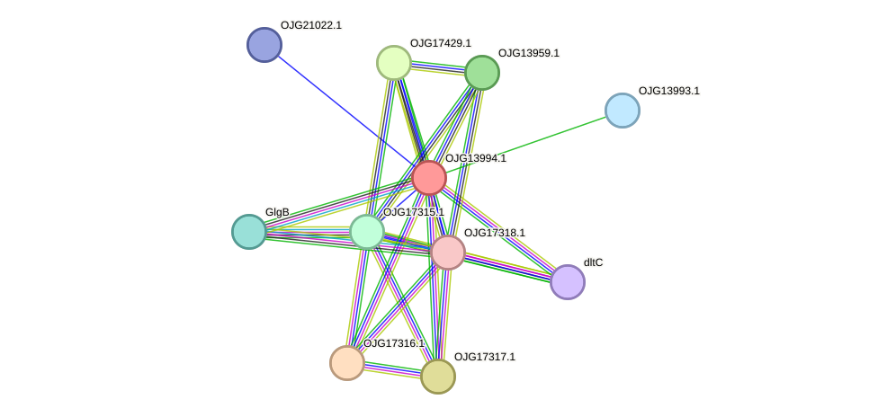 STRING protein interaction network