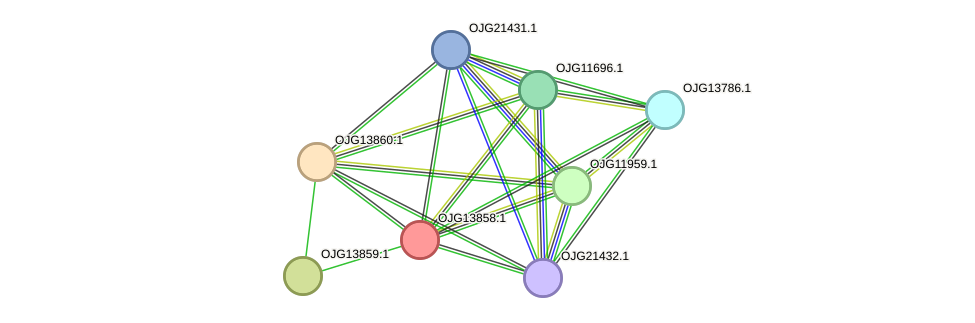 STRING protein interaction network