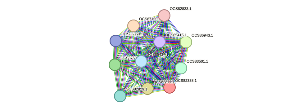 STRING protein interaction network