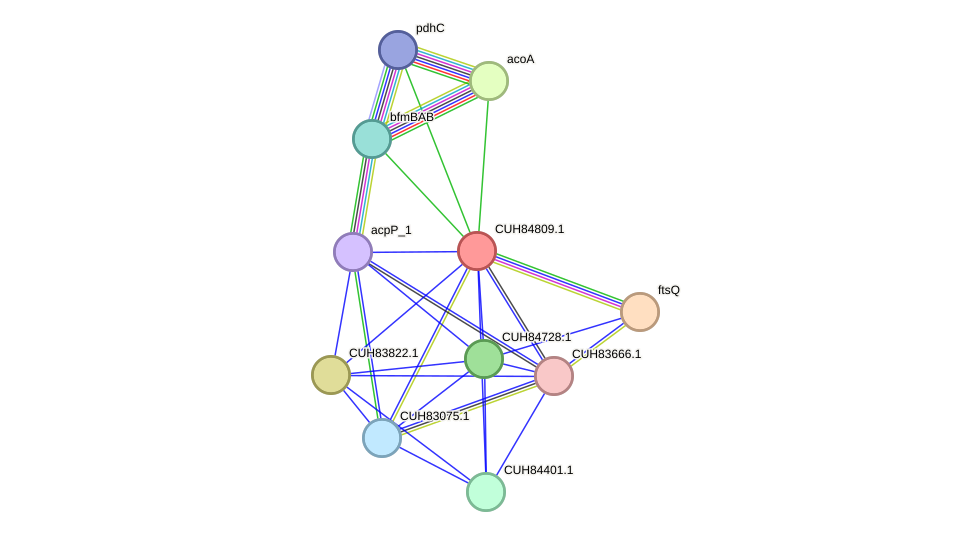 STRING protein interaction network