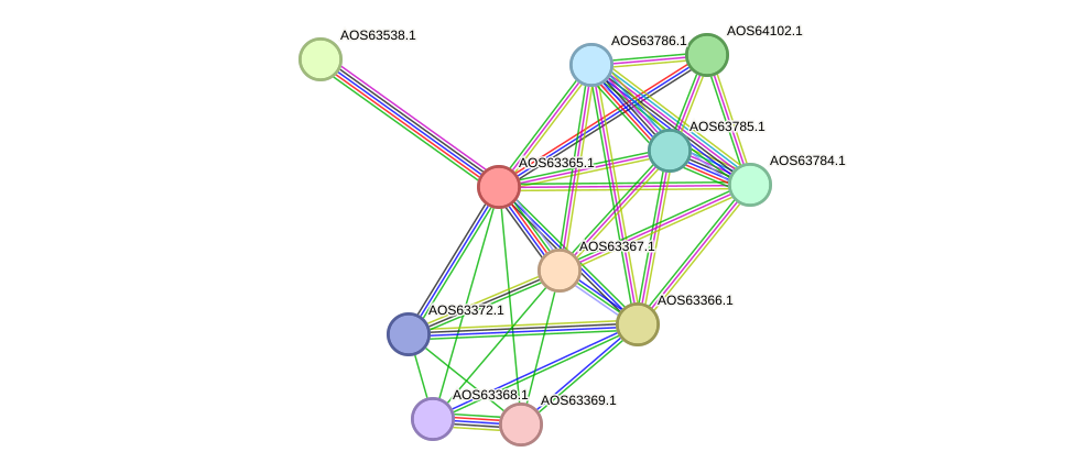 STRING protein interaction network