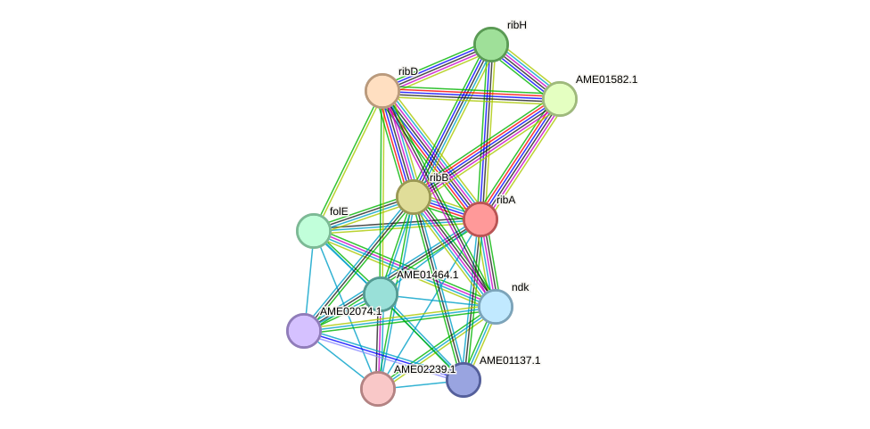 STRING protein interaction network