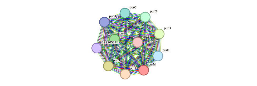 STRING protein interaction network