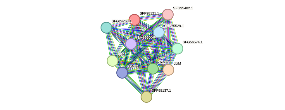 STRING protein interaction network