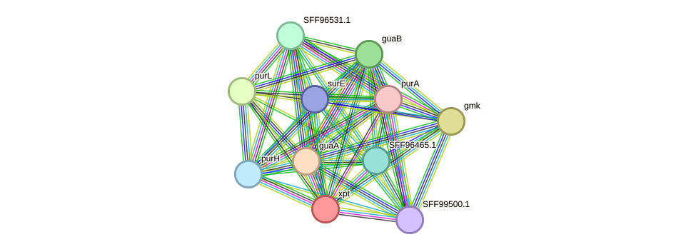 STRING protein interaction network