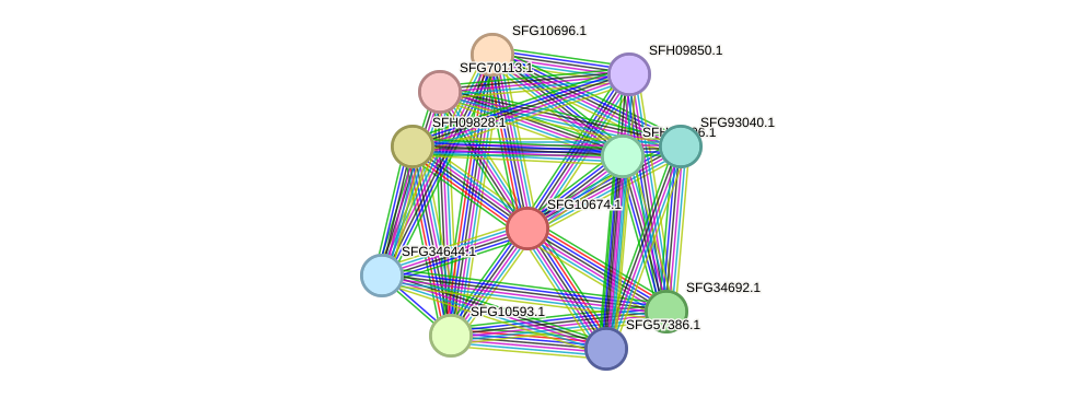 STRING protein interaction network