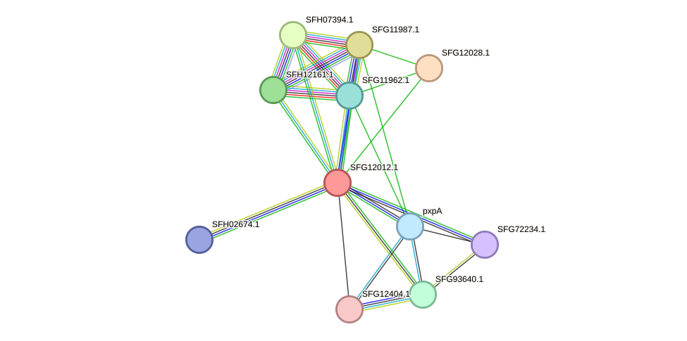 STRING protein interaction network