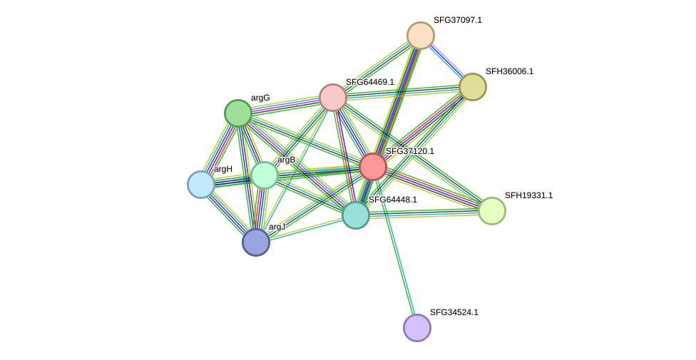 STRING protein interaction network