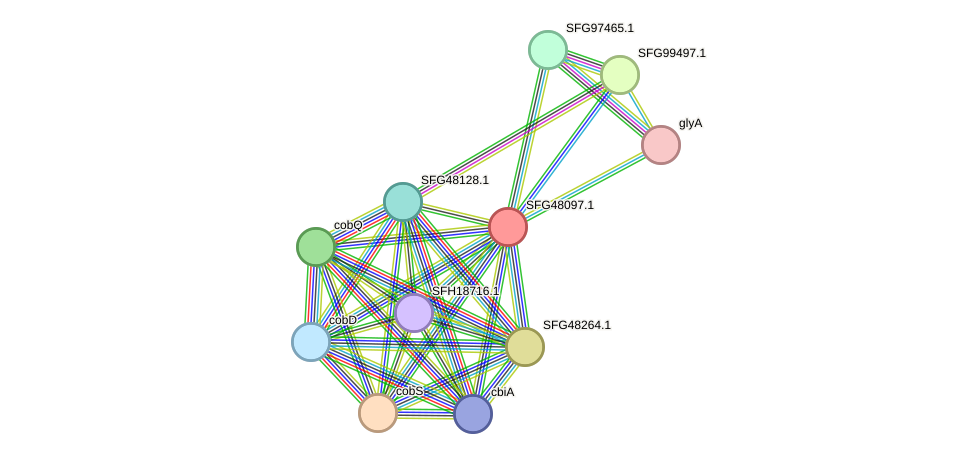 STRING protein interaction network