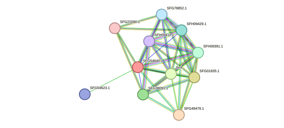 STRING protein interaction network