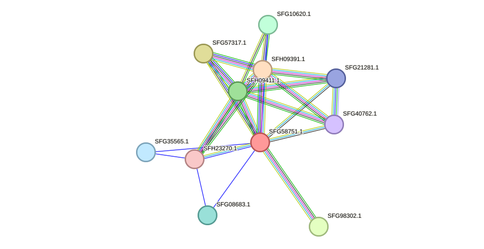 STRING protein interaction network