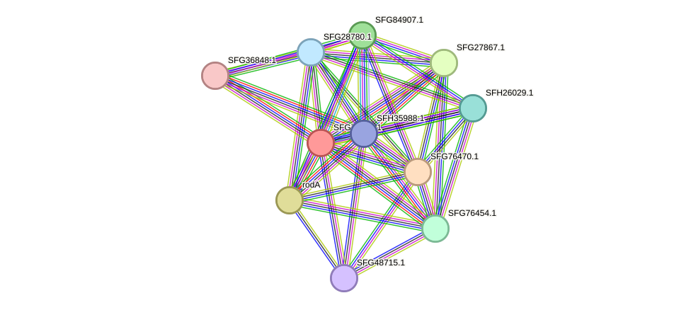 STRING protein interaction network