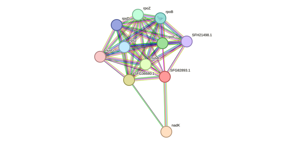 STRING protein interaction network