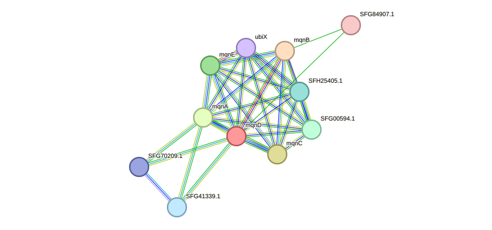 STRING protein interaction network