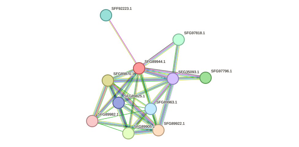 STRING protein interaction network