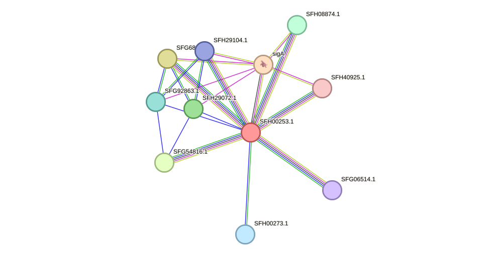 STRING protein interaction network