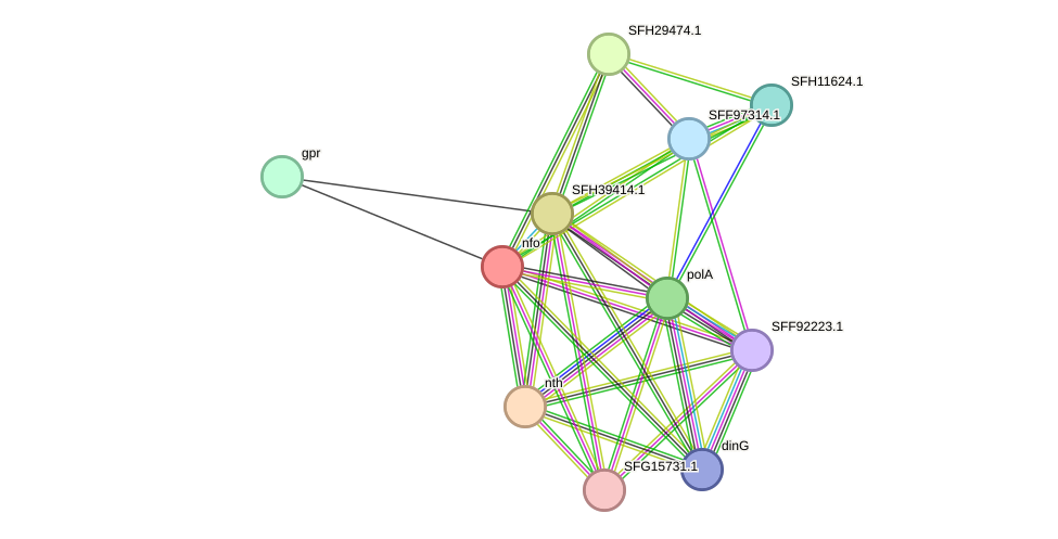 STRING protein interaction network