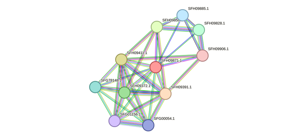 STRING protein interaction network