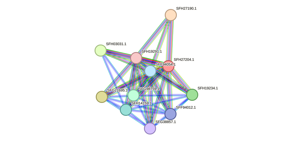 STRING protein interaction network