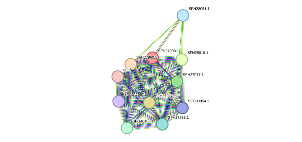 STRING protein interaction network