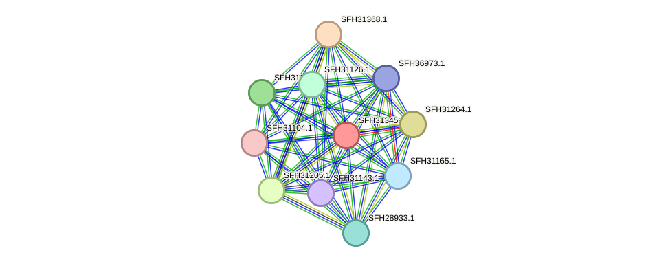 STRING protein interaction network