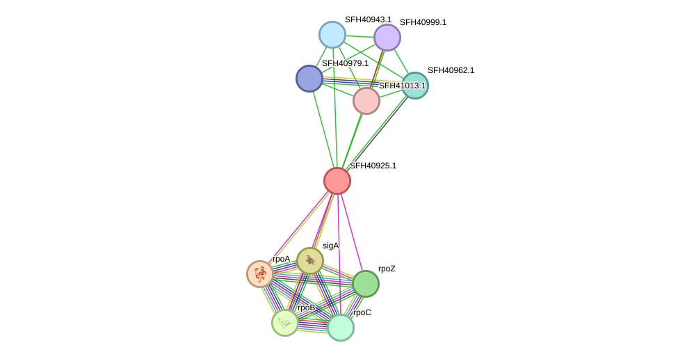 STRING protein interaction network