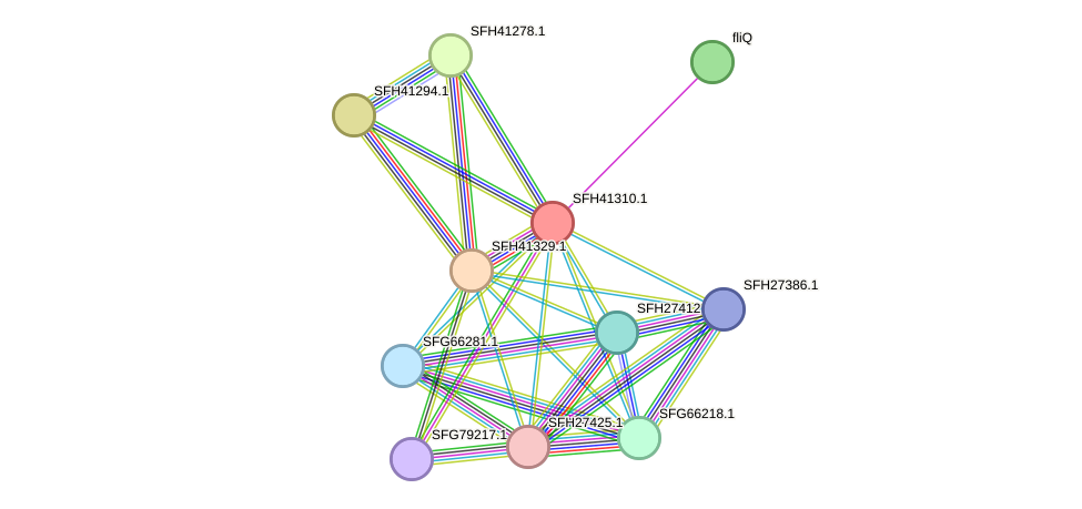 STRING protein interaction network