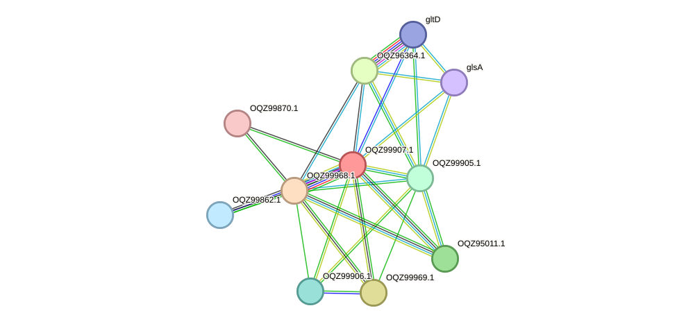 STRING protein interaction network