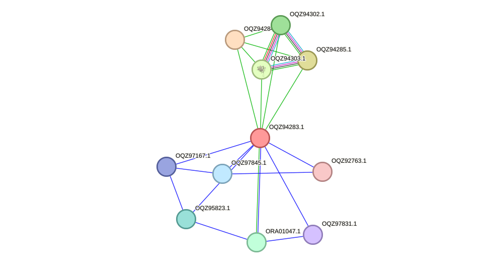 STRING protein interaction network