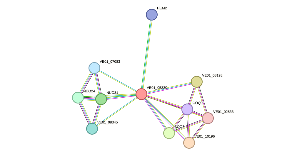 STRING protein interaction network