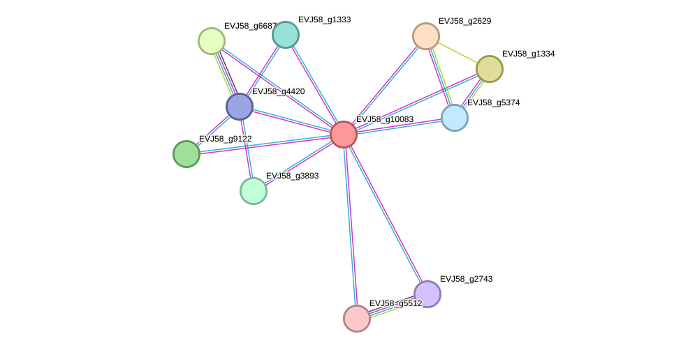 STRING protein interaction network