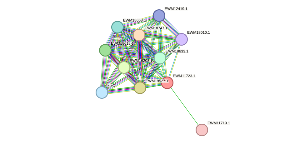 STRING protein interaction network