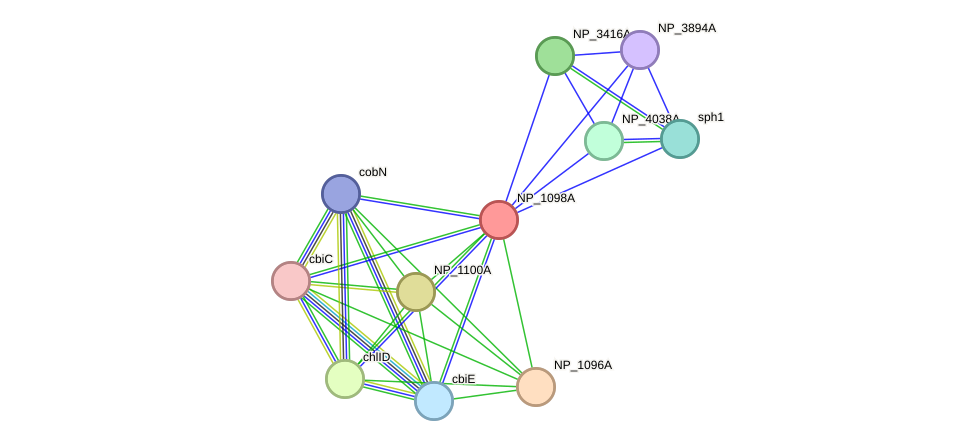 STRING protein interaction network