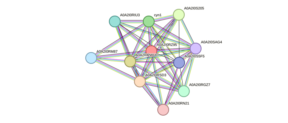 STRING protein interaction network