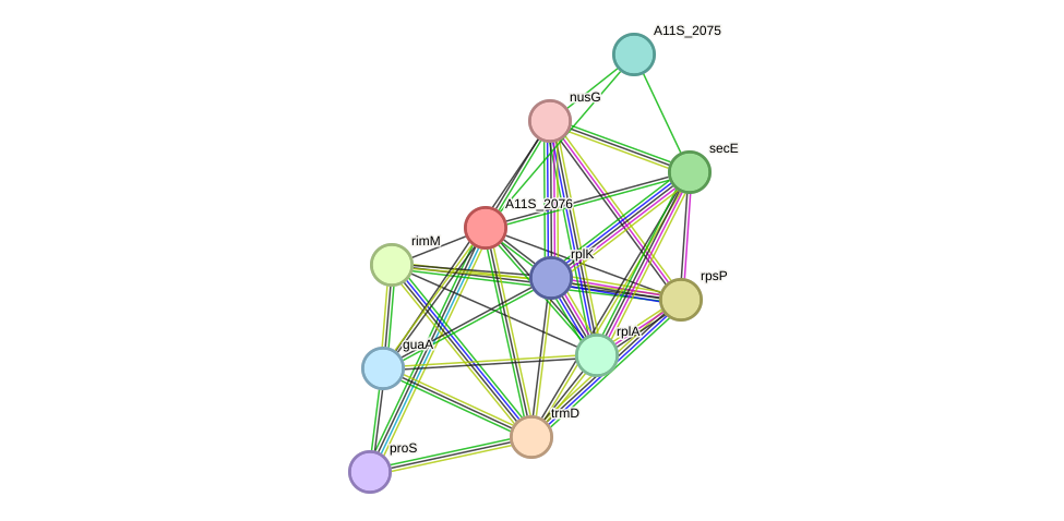 STRING protein interaction network