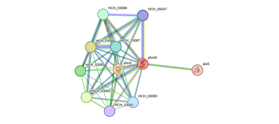 STRING protein interaction network