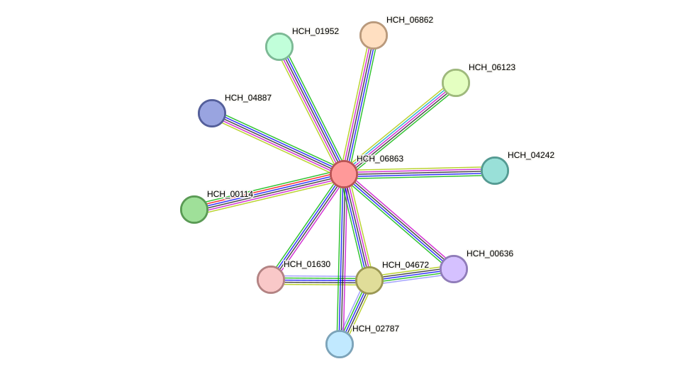 STRING protein interaction network