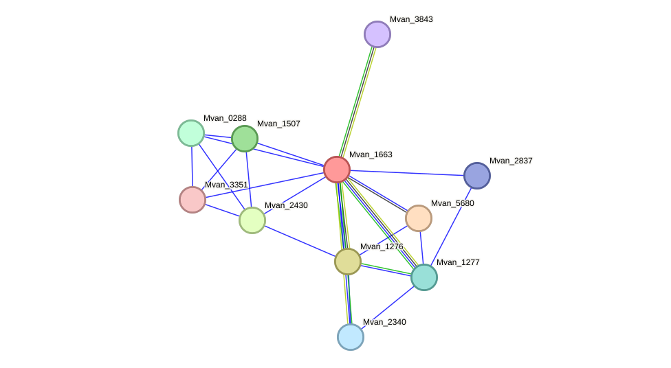 STRING protein interaction network