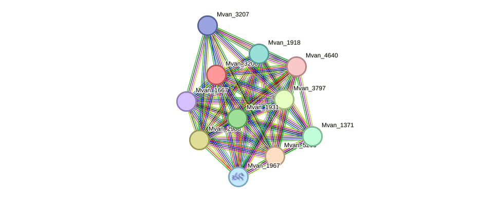STRING protein interaction network