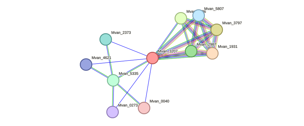 STRING protein interaction network