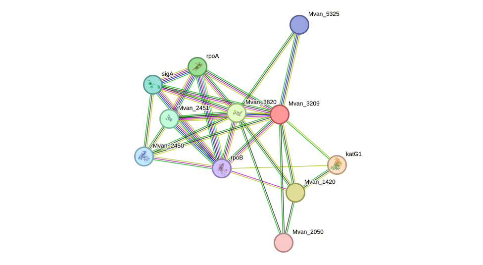 STRING protein interaction network