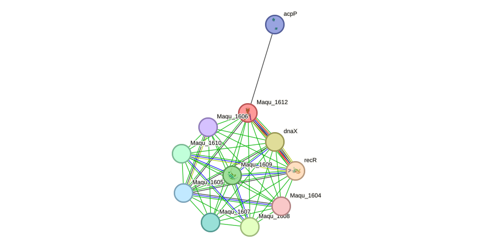 STRING protein interaction network