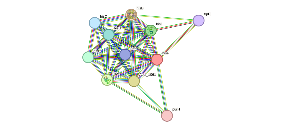 STRING protein interaction network