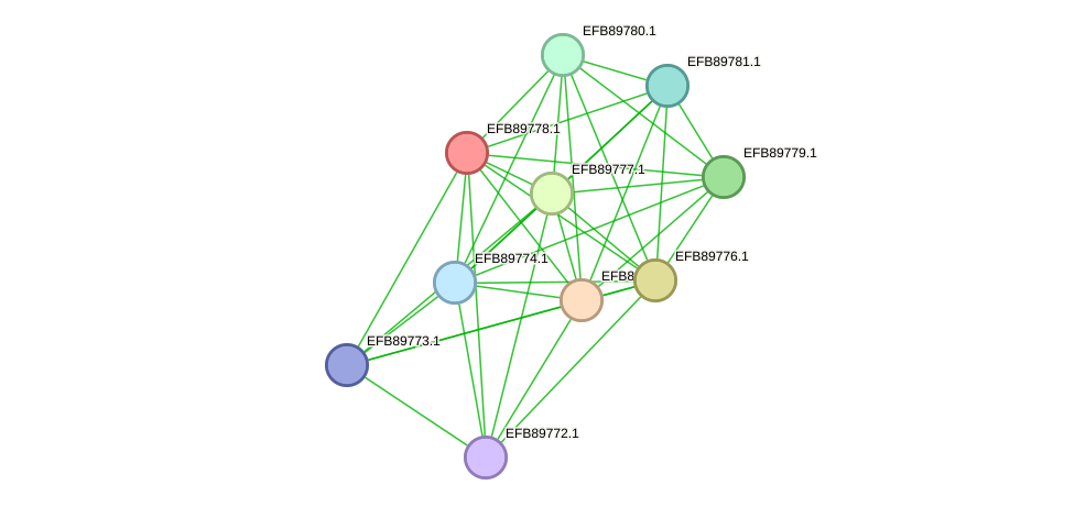 STRING protein interaction network