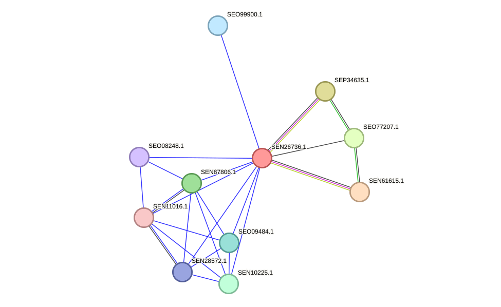 STRING protein interaction network